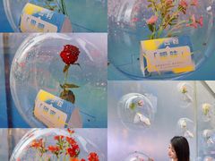 -VT101维多利广场