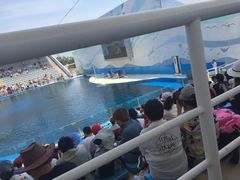 -北戴河圣蓝海洋公园