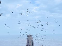 -威海国际海水浴场旅游区