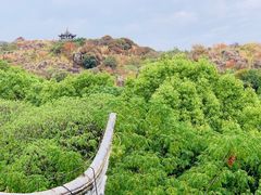 -白马涧龙池景区