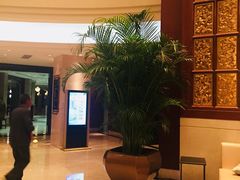 -上海圣淘沙万怡酒店