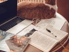 -ZING COFFEE 镜咖啡