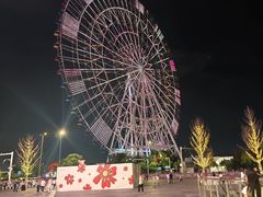 -南昌之星摩天轮