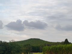 -秦始皇帝陵博物院-丽山园