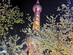 -东方明珠广播电视塔