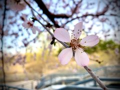 -大兴滨河森林公园