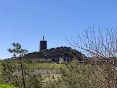 -永定河休闲森林公园