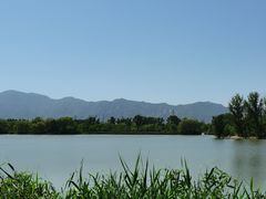 -翠湖国家城市湿地公园