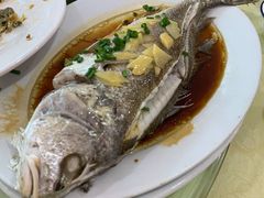 清蒸白花鱼-秋姐美食店(旅游大道店)