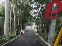 -白云山风景名胜区
