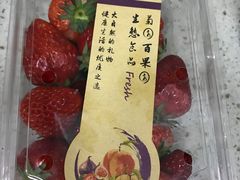 -菊园百果园
