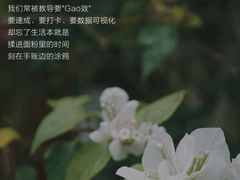 -曼朗心理咨询·旗舰店