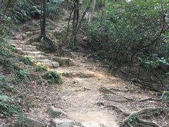 -狮子山郊野公园