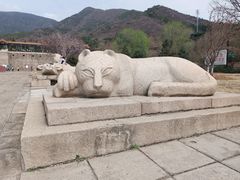 -北京十三陵国家森林公园蟒山景区