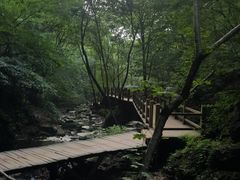 -本溪汤沟绿石谷森林公园