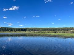 -塞罕坝国家级自然保护区