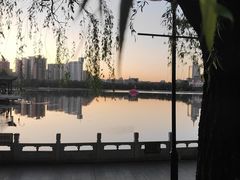 -莲花池公园