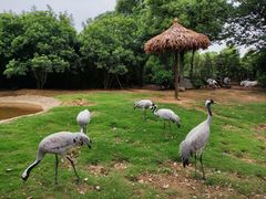 -杭州野生动物世界