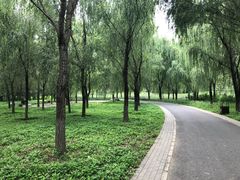-东郊湿地公园