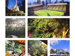 -珠江夜游省总码头