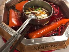 -蜀九香火锅(九眼桥店)