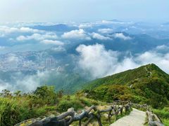 -梧桐山风景名胜区