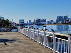 -台场海滨公园船码头