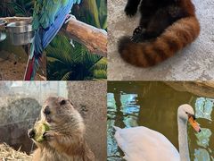 -海合安武汉极地海洋公园