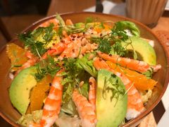 -O'eat Blossom&Pelican(深圳首店)