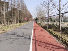 -上海长兴岛郊野公园