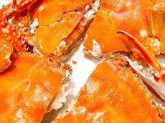 -北塘海鲜·天津菜·鲅鱼水饺是一绝(大光明桥旗舰店)