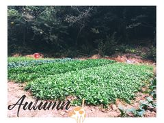 -白马涧龙池景区