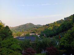 -十八棵（老龙井）御茶园(老龙井店)