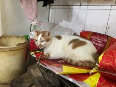 -容里煲仔饭(利丰北路店)