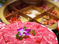 -张嬢嬢老火锅(壹号店•六年店)