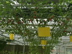 -兰陵国家农业公园