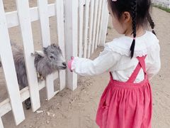 -前小桔亲子创意农场·草莓采摘·露营烧烤