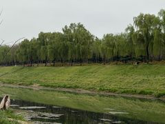 -洨河生态公园