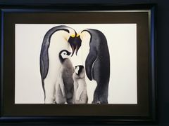 -罗红摄影艺术馆