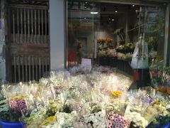-溪岸路花鸟市场