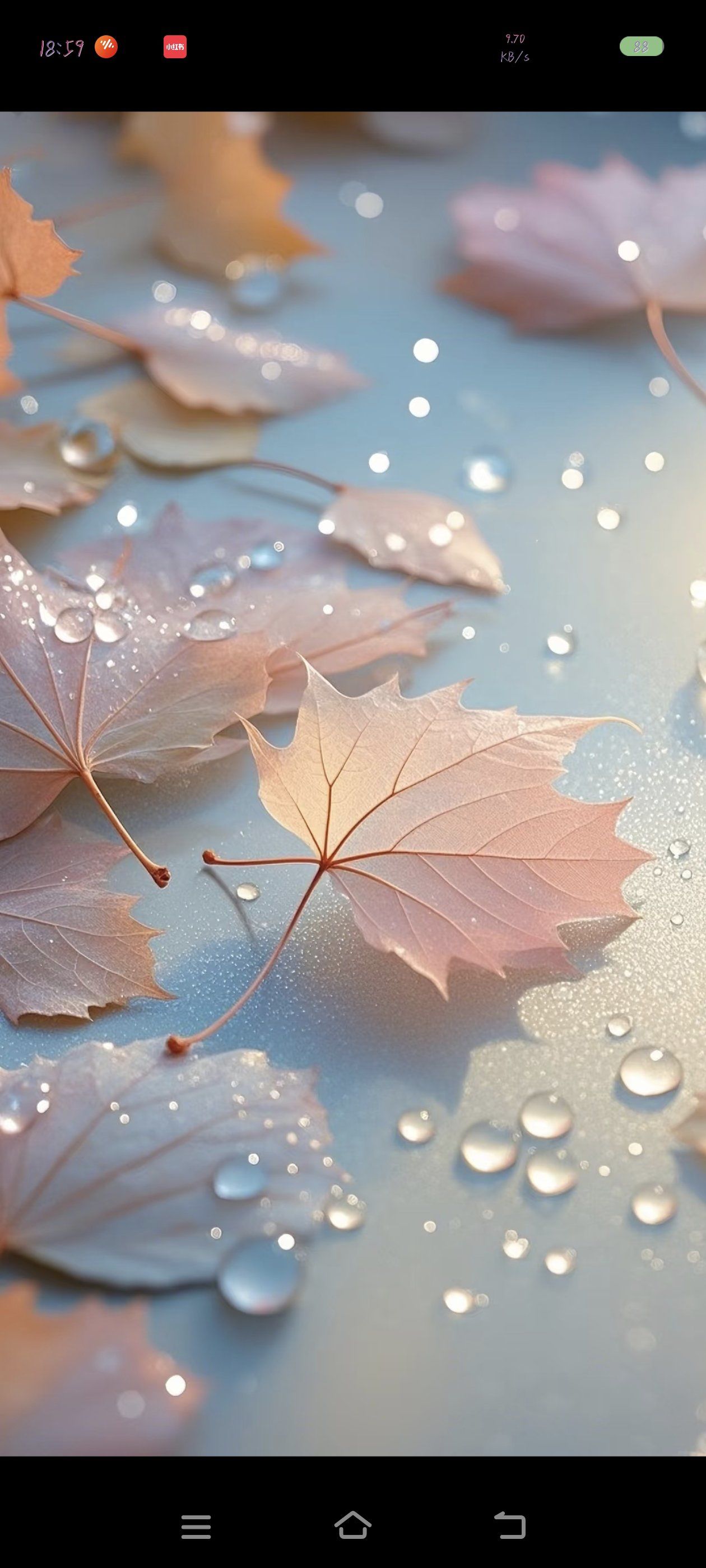 温柔色彩的拥抱