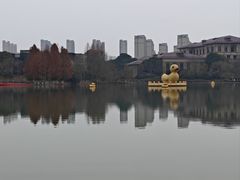-青枫公园