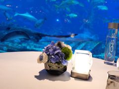 -亚特兰蒂斯•OSSIANO奥西亚诺海底餐厅