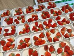 -水之梦(黄浦店)