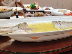 -鲁宴·鲁煨黄河生态大鲤鱼(月坛店)