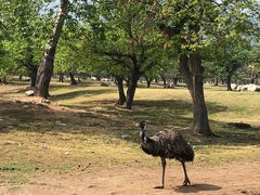 -西安秦岭野生动物园