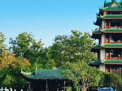 -桂湖森林公园