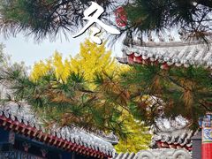-长安寺
