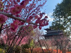-石湖景区