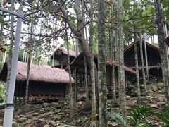 -海南槟榔谷黎苗文化旅游区